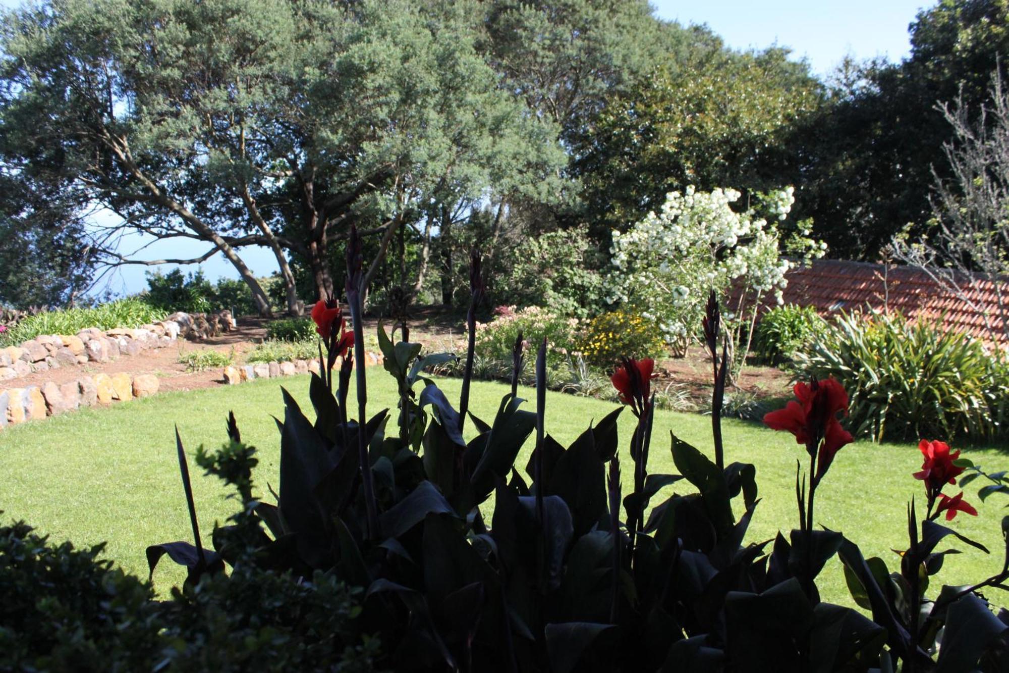 Quinta Das Faias Camacha (Madeira) Quarto foto