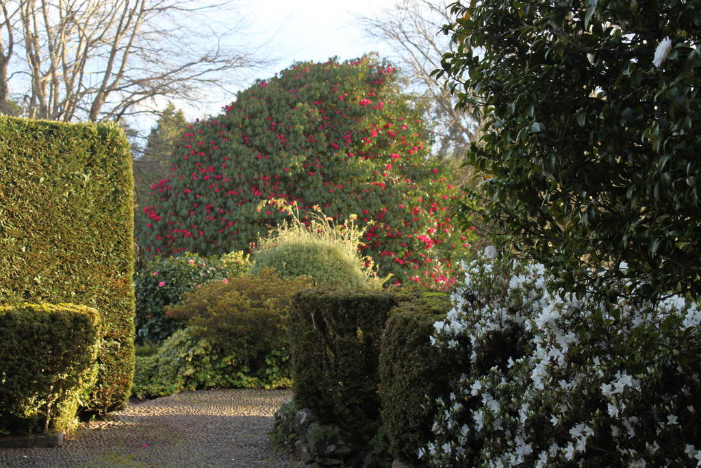 Quinta Das Faias Camacha (Madeira) Exterior foto