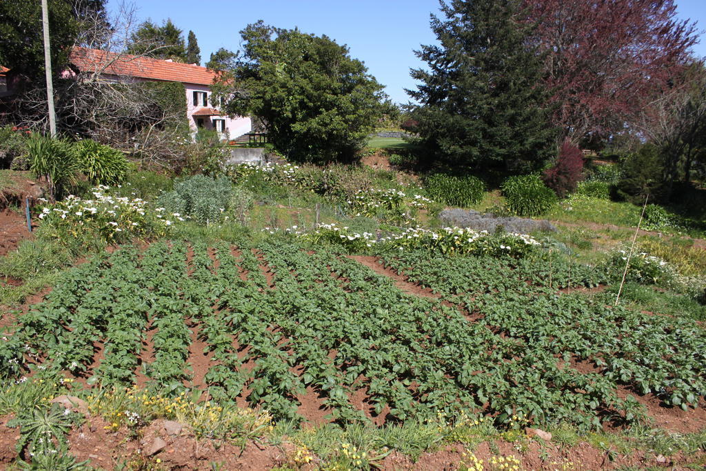 Quinta Das Faias Camacha (Madeira) Exterior foto