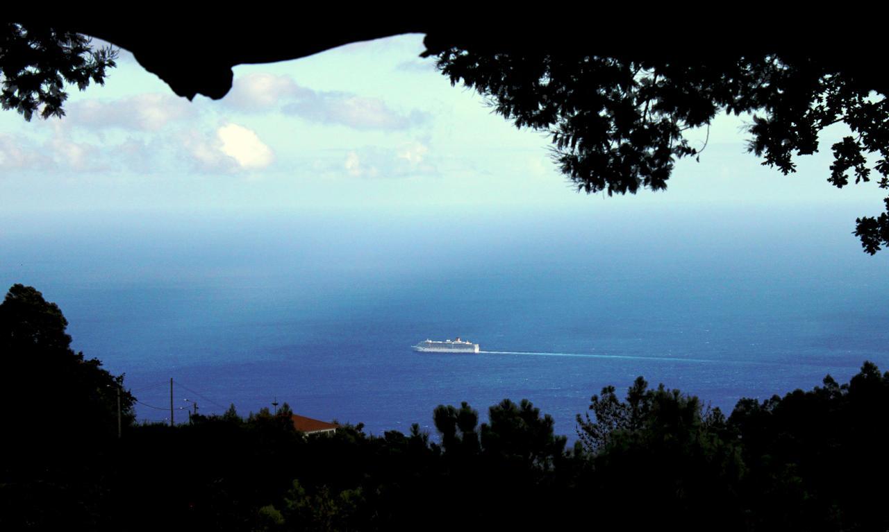 Quinta Das Faias Camacha (Madeira) Exterior foto