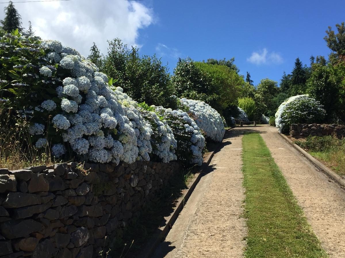Quinta Das Faias Camacha (Madeira) Exterior foto