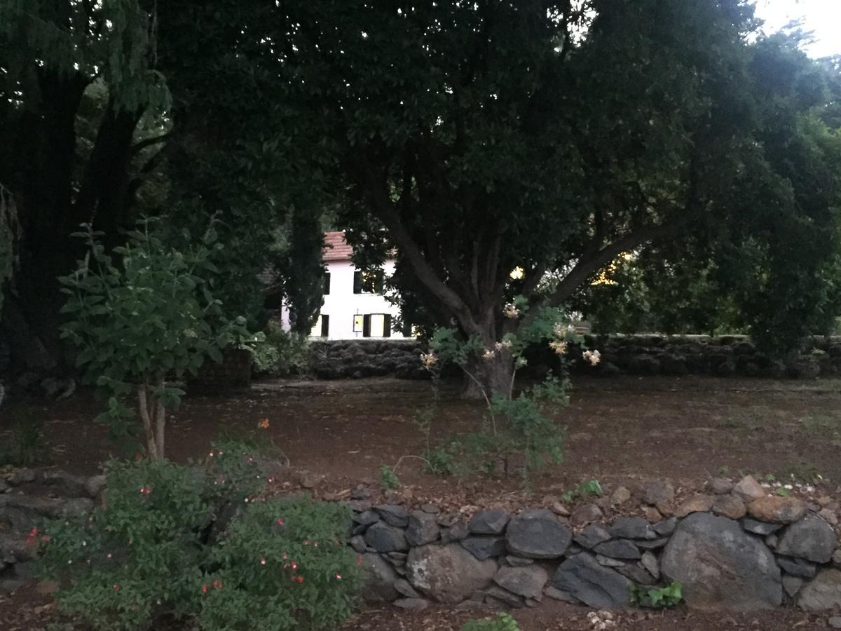 Quinta Das Faias Camacha (Madeira) Exterior foto